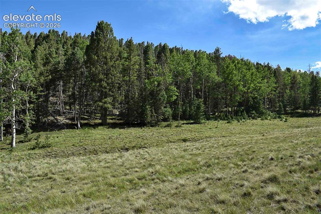 000 Bear Cat Road Guffey CO 80820