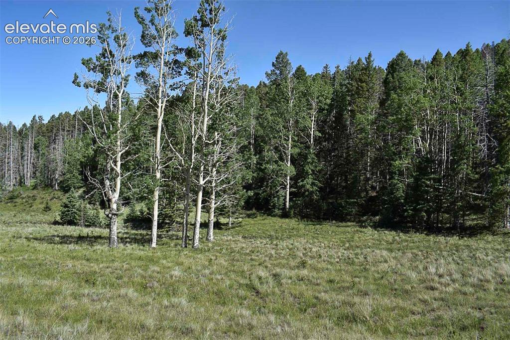 000 Bear Cat Road Guffey CO 80820