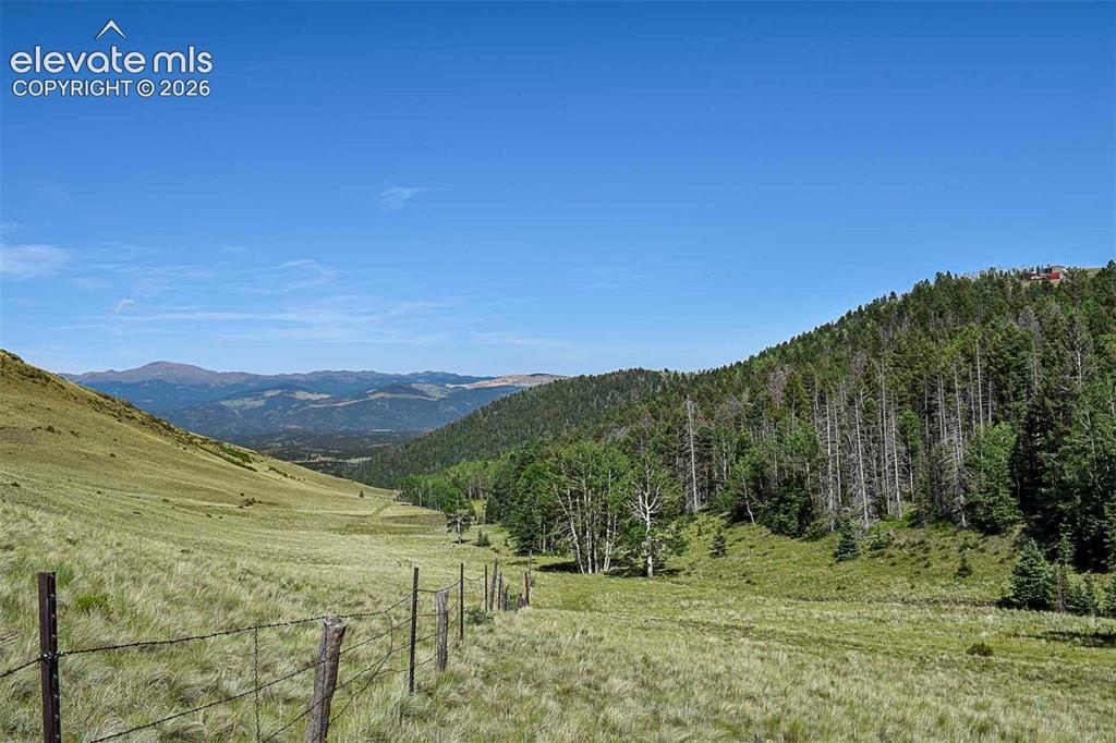 000 Bear Cat Road Guffey CO 80820