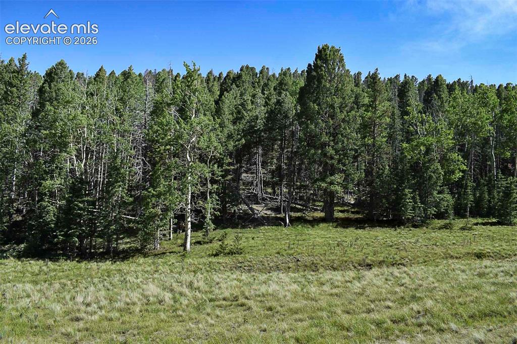 000 Bear Cat Road Guffey CO 80820
