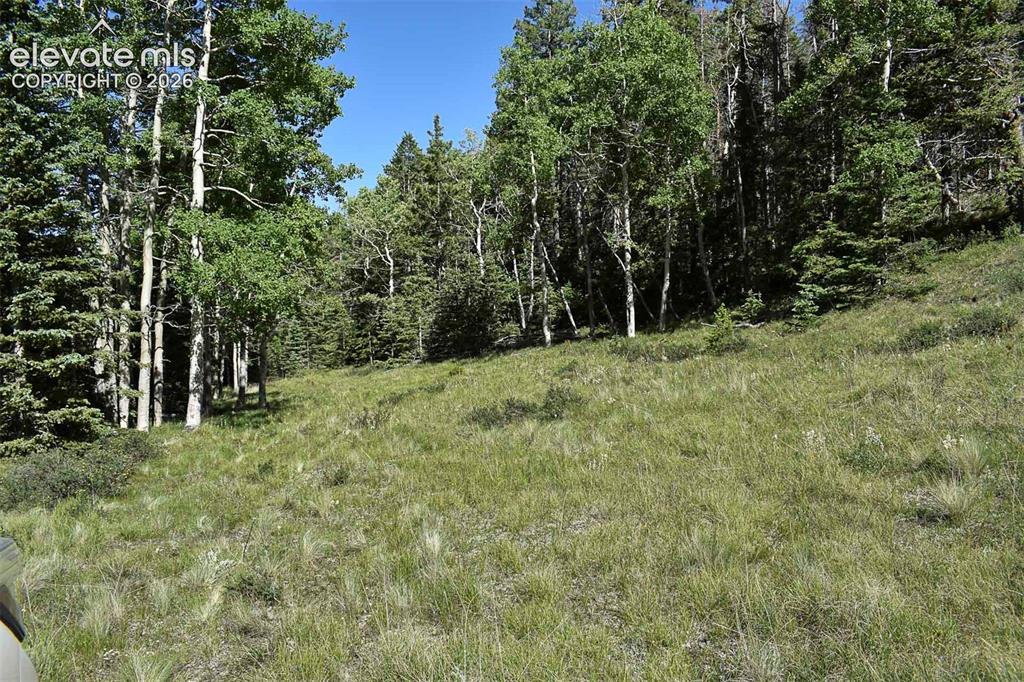 000 Bear Cat Road Guffey CO 80820