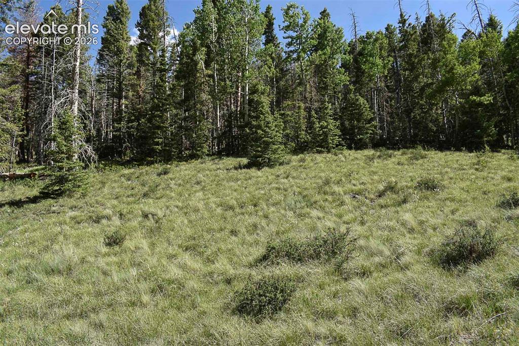 000 Bear Cat Road Guffey CO 80820