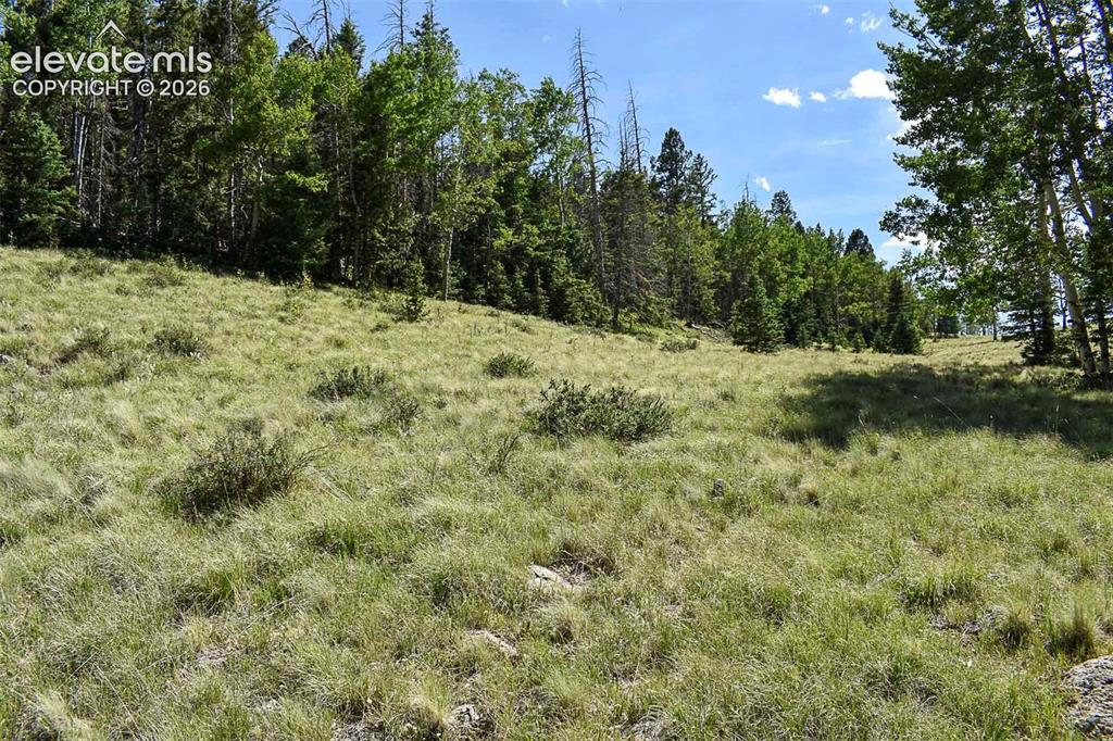 000 Bear Cat Road Guffey CO 80820