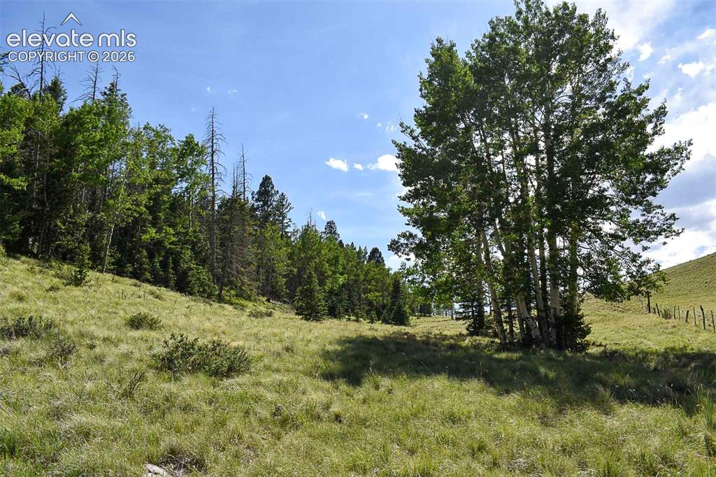 000 Bear Cat Road Guffey CO 80820
