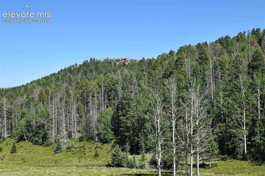 000 Bear Cat Road Guffey CO 80820