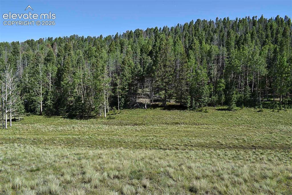 000 Bear Cat Road Guffey CO 80820