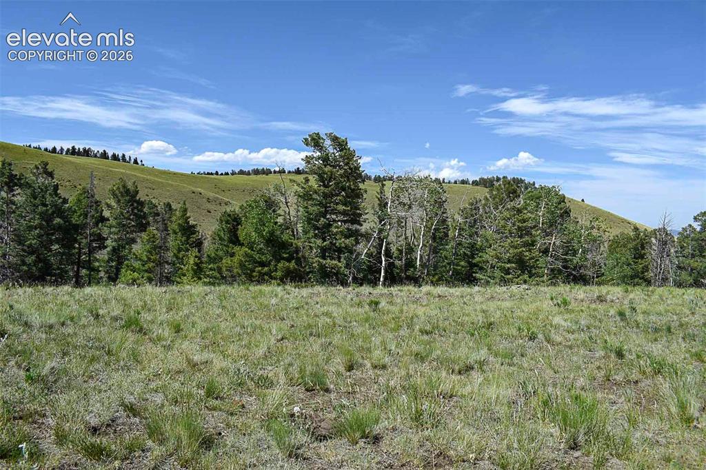 000 Bear Cat Road Guffey CO 80820