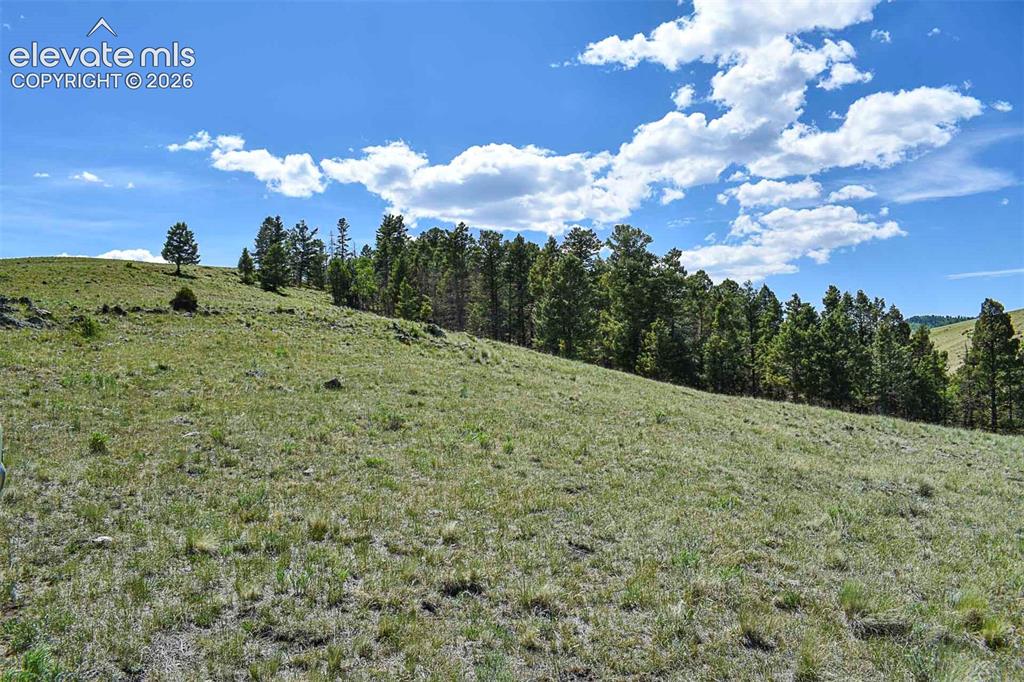 000 Bear Cat Road Guffey CO 80820