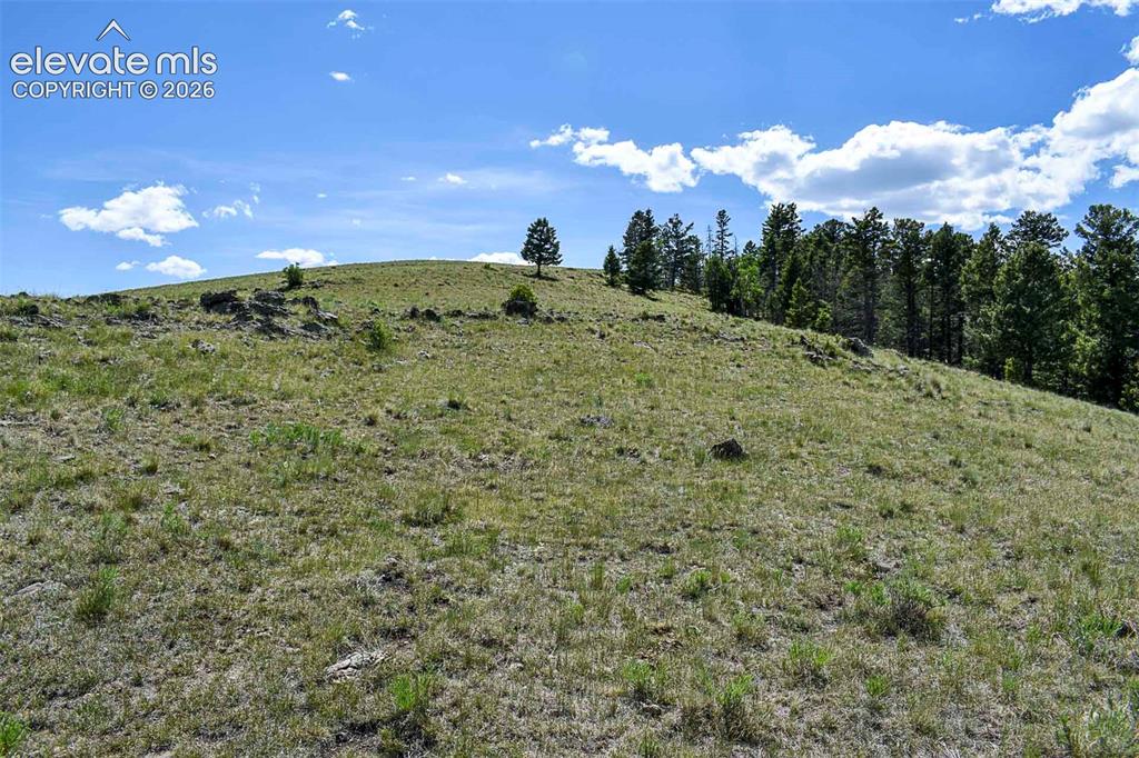 000 Bear Cat Road Guffey CO 80820