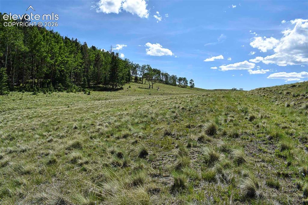 000 Bear Cat Road Guffey CO 80820