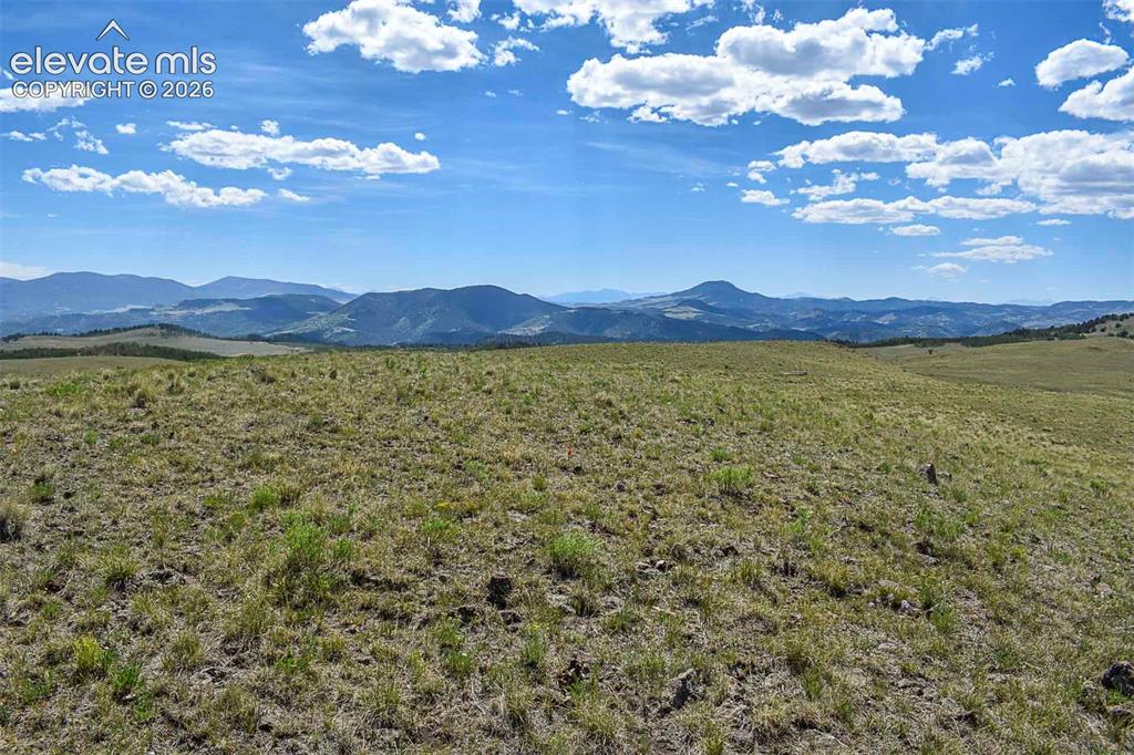 000 Bear Cat Road Guffey CO 80820