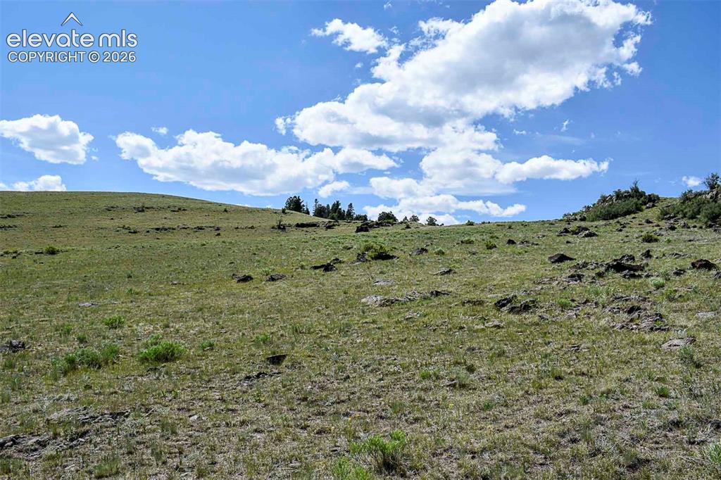 000 Bear Cat Road Guffey CO 80820