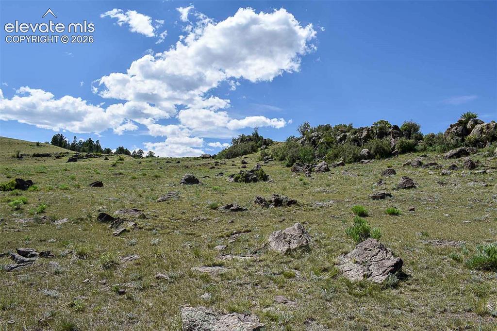 000 Bear Cat Road Guffey CO 80820
