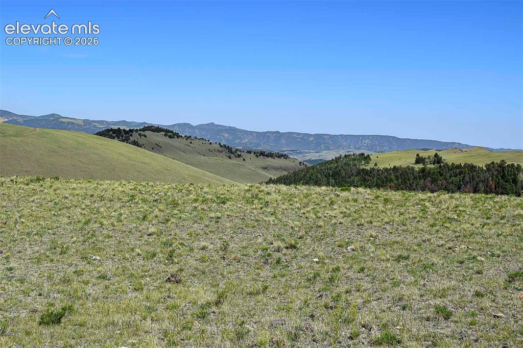 000 Bear Cat Road Guffey CO 80820