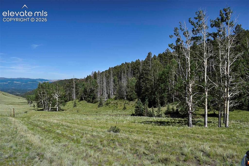 000 Bear Cat Road Guffey CO 80820