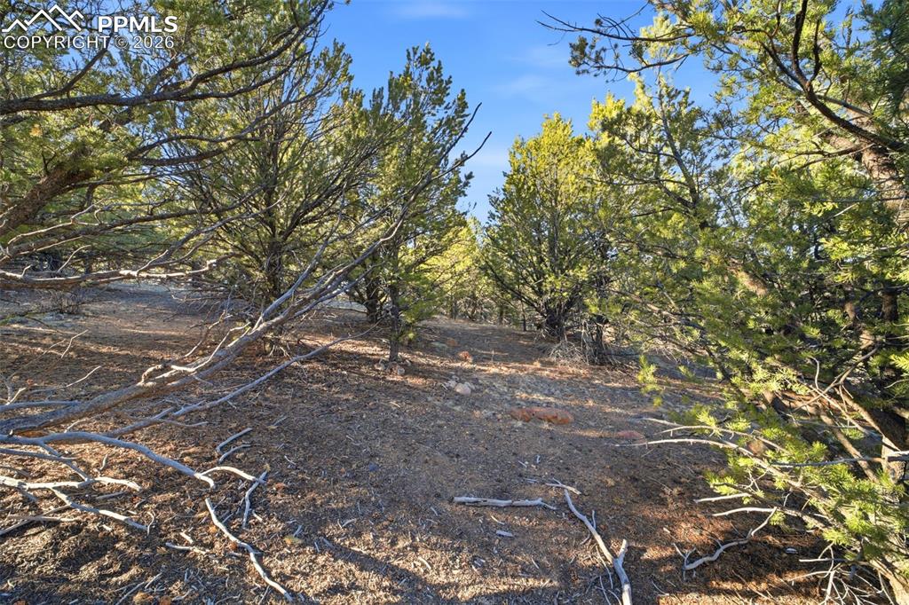 94 Piute Drive Canon City CO 81212