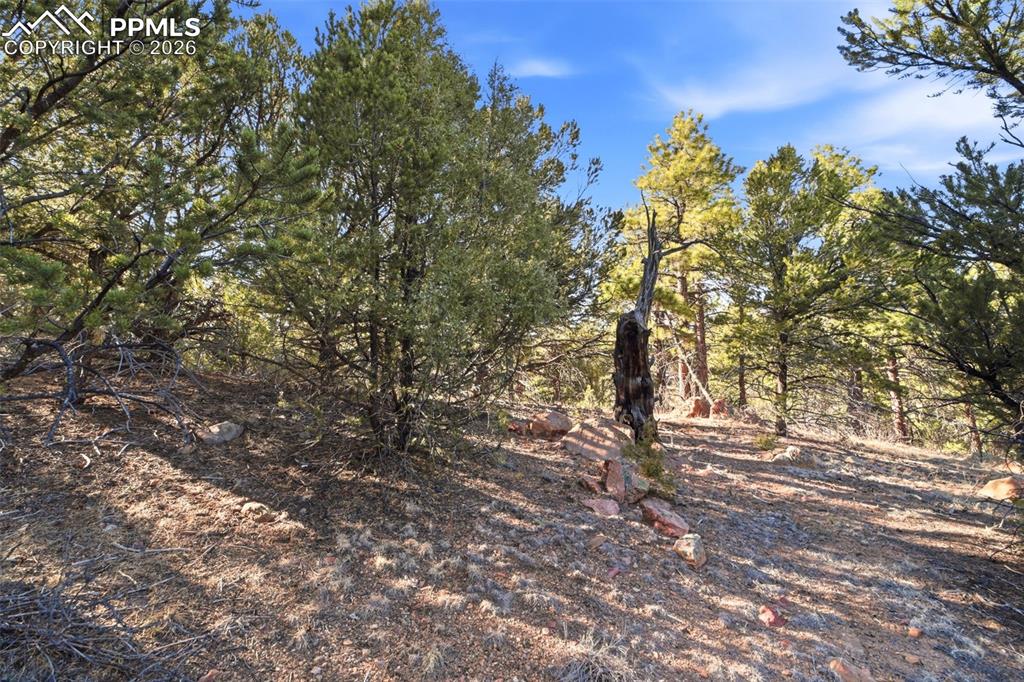 94 Piute Drive Canon City CO 81212