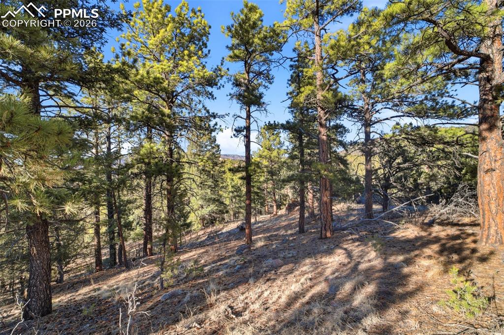 94 Piute Drive Canon City CO 81212