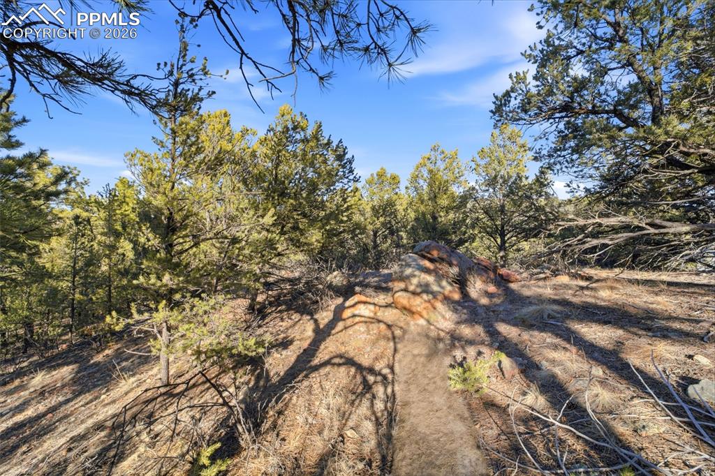 94 Piute Drive Canon City CO 81212