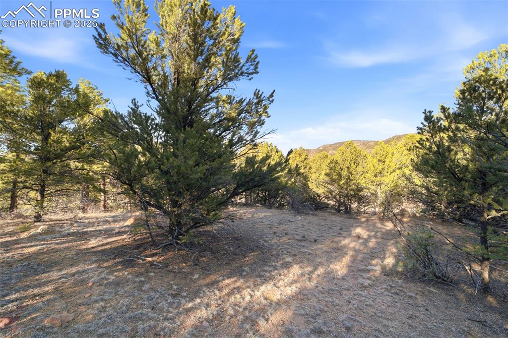 94 Piute Drive Canon City CO 81212