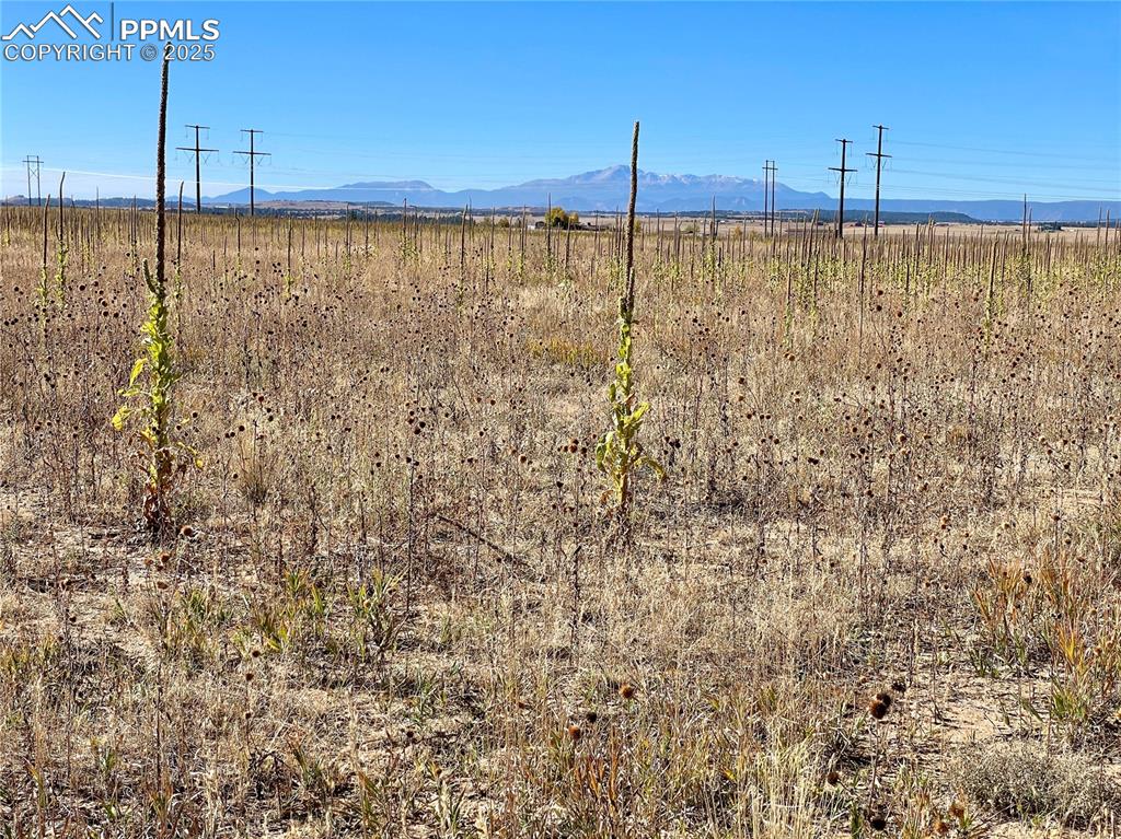 Elbert CO, Parcel 2 County Road 98