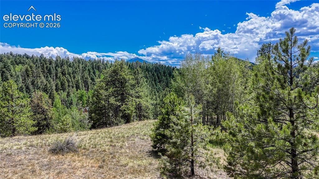 218 Princess Road Cripple Creek CO 80813