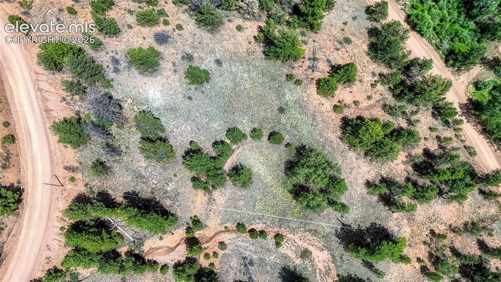 218 Princess Road Cripple Creek CO 80813