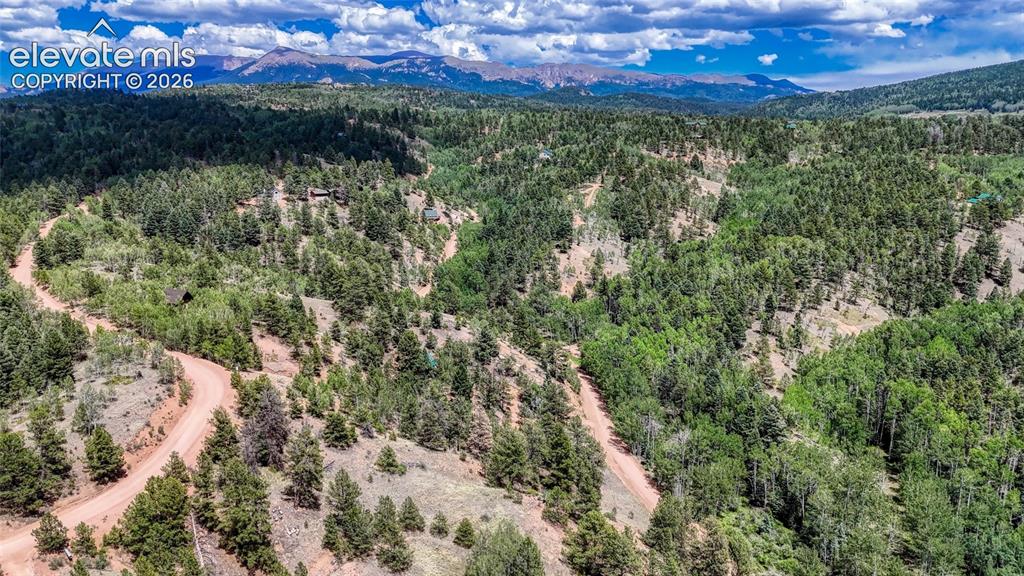 218 Princess Road Cripple Creek CO 80813