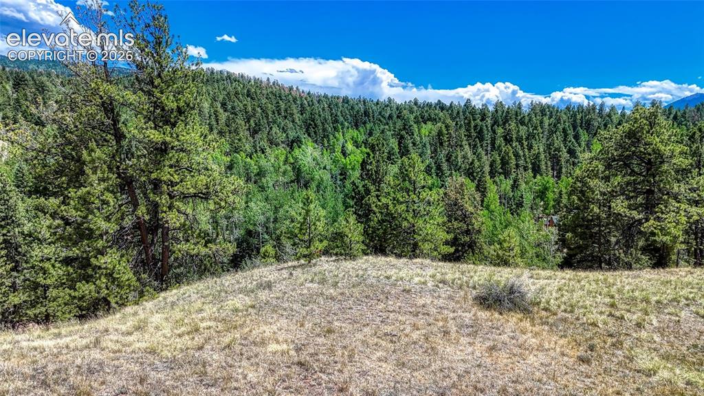 218 Princess Road Cripple Creek CO 80813