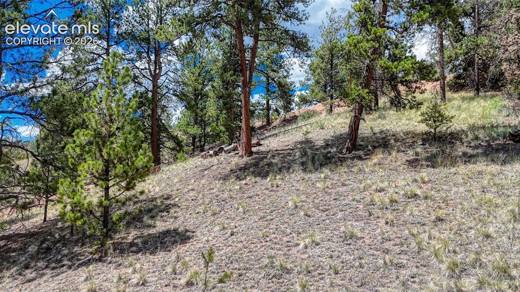 218 Princess Road Cripple Creek CO 80813