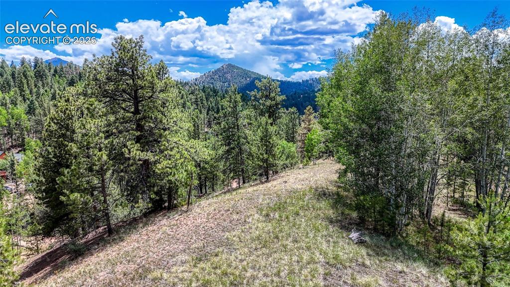 218 Princess Road Cripple Creek CO 80813