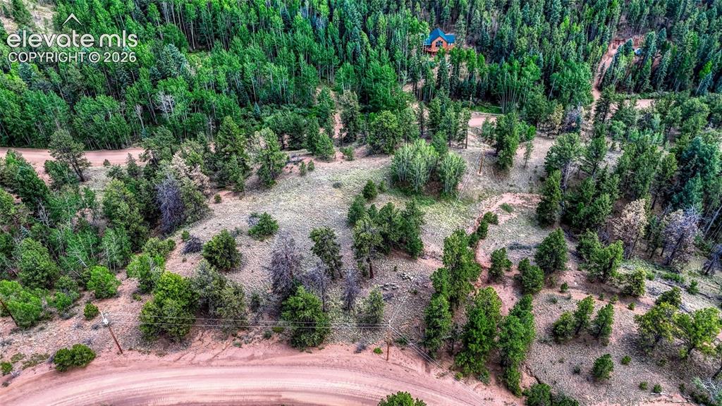 218 Princess Road Cripple Creek CO 80813