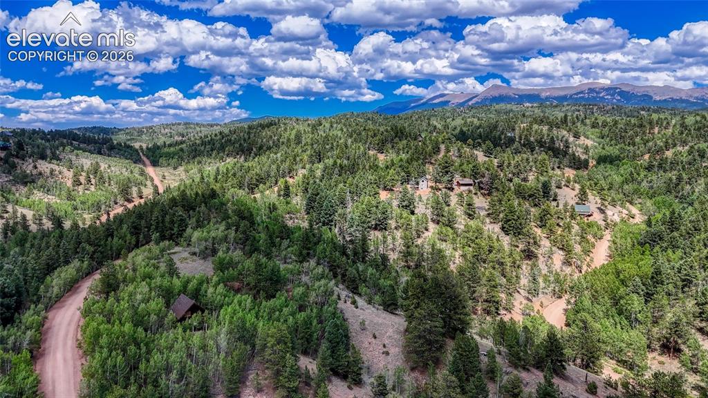 218 Princess Road Cripple Creek CO 80813