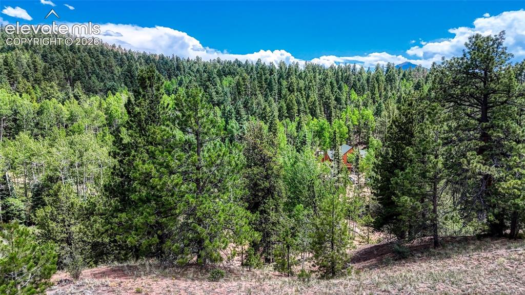 218 Princess Road Cripple Creek CO 80813