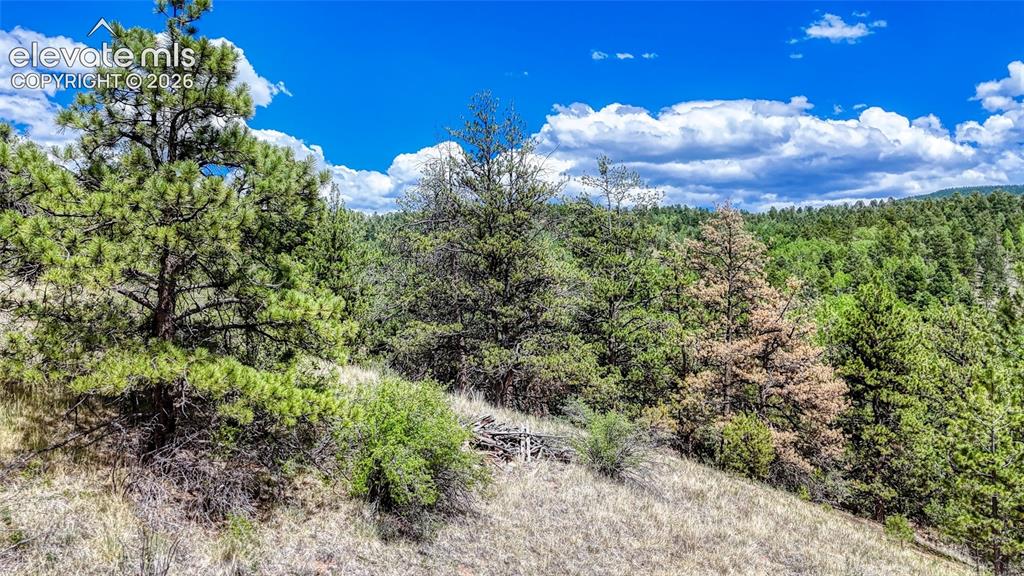 218 Princess Road Cripple Creek CO 80813
