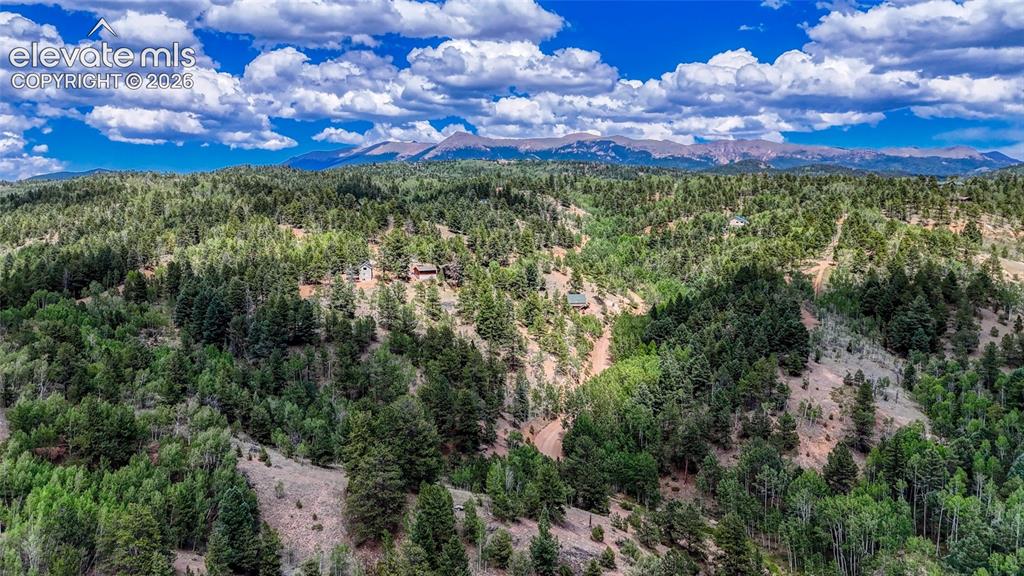 218 Princess Road Cripple Creek CO 80813