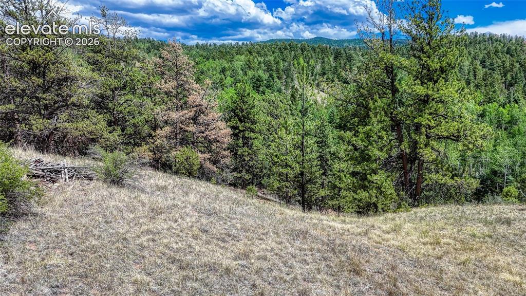 218 Princess Road Cripple Creek CO 80813
