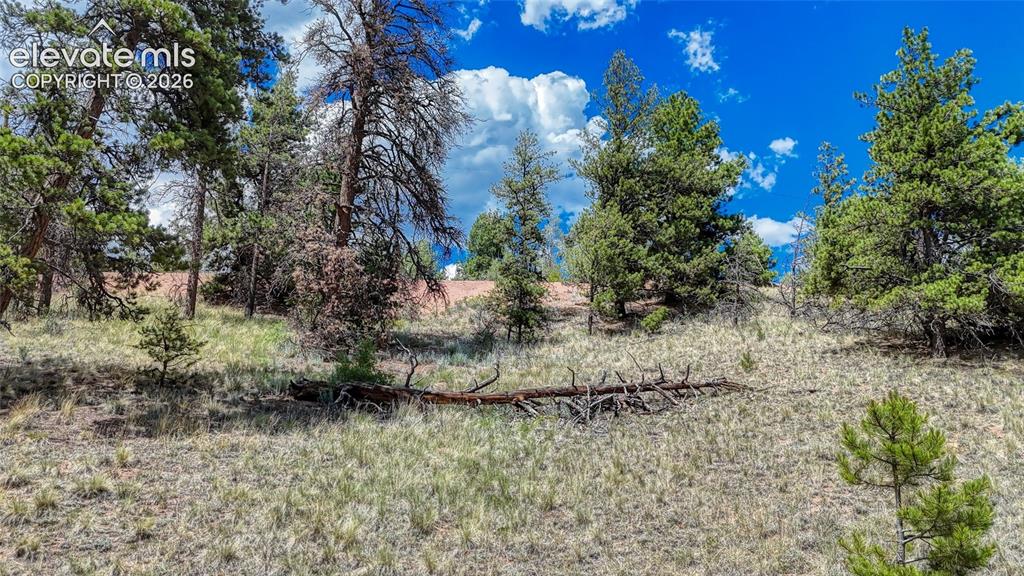218 Princess Road Cripple Creek CO 80813