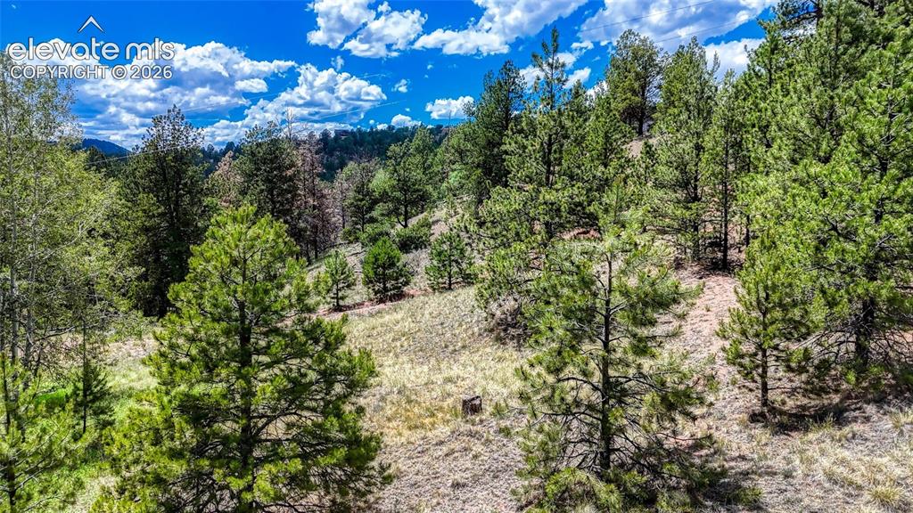 218 Princess Road Cripple Creek CO 80813