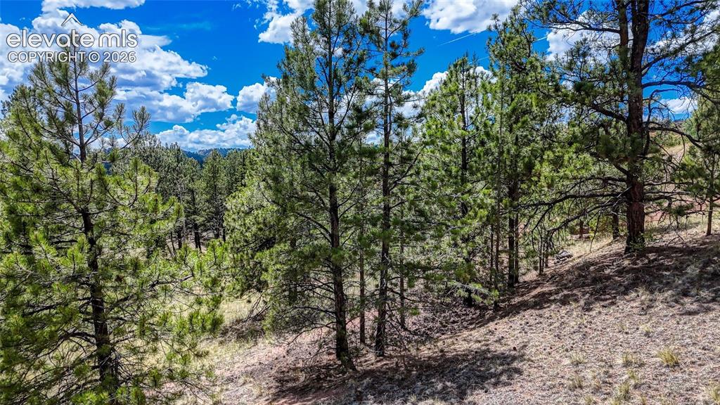 218 Princess Road Cripple Creek CO 80813