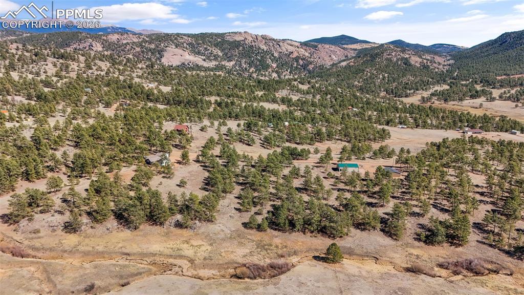 567 Ranch Resorts Drive Florissant CO 80816