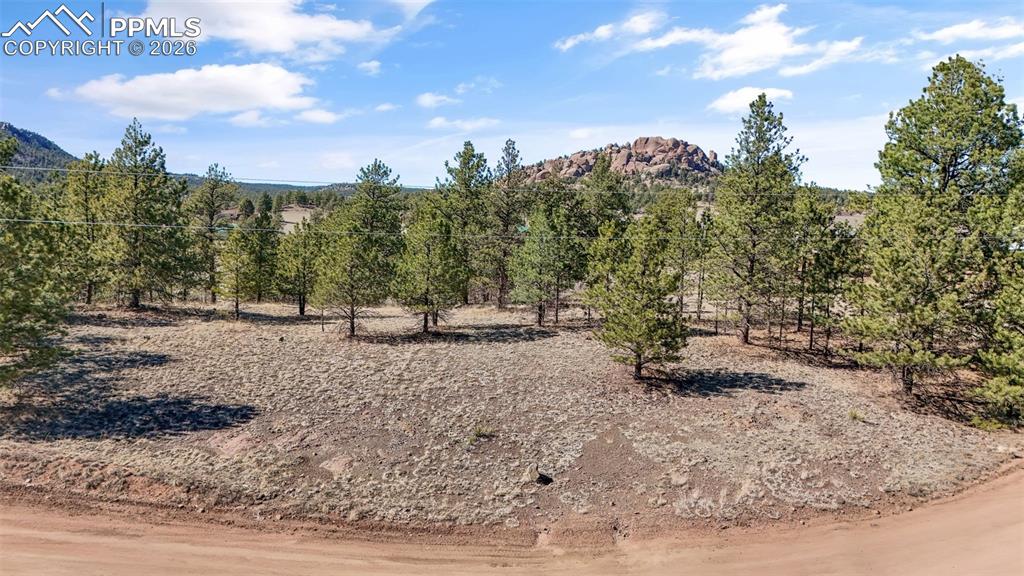 567 Ranch Resorts Drive Florissant CO 80816