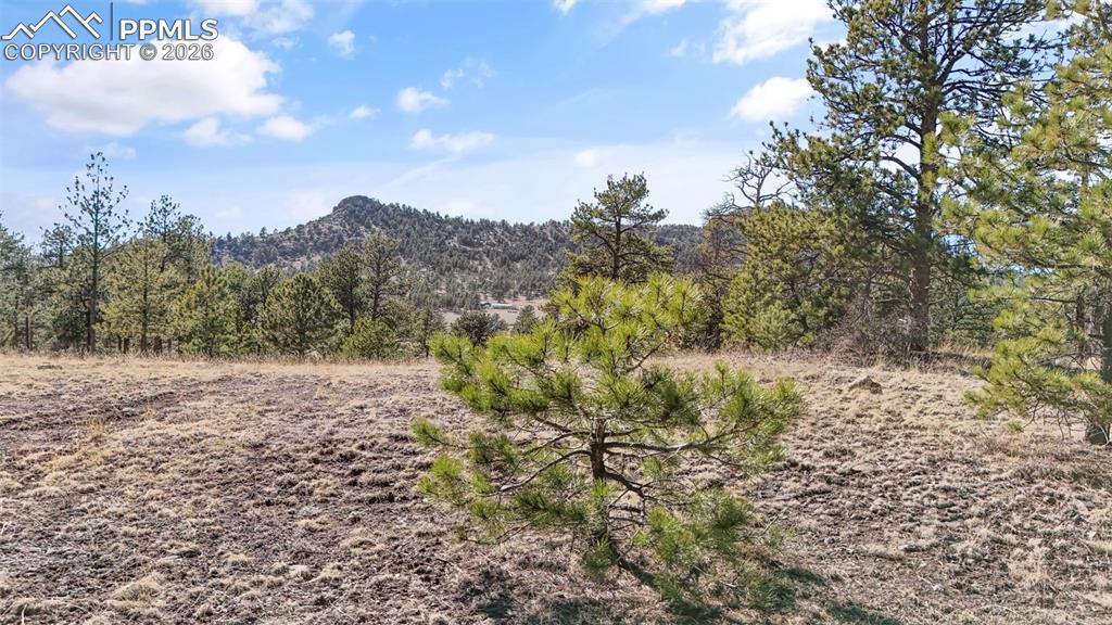 567 Ranch Resorts Drive Florissant CO 80816