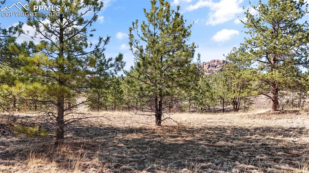 567 Ranch Resorts Drive Florissant CO 80816