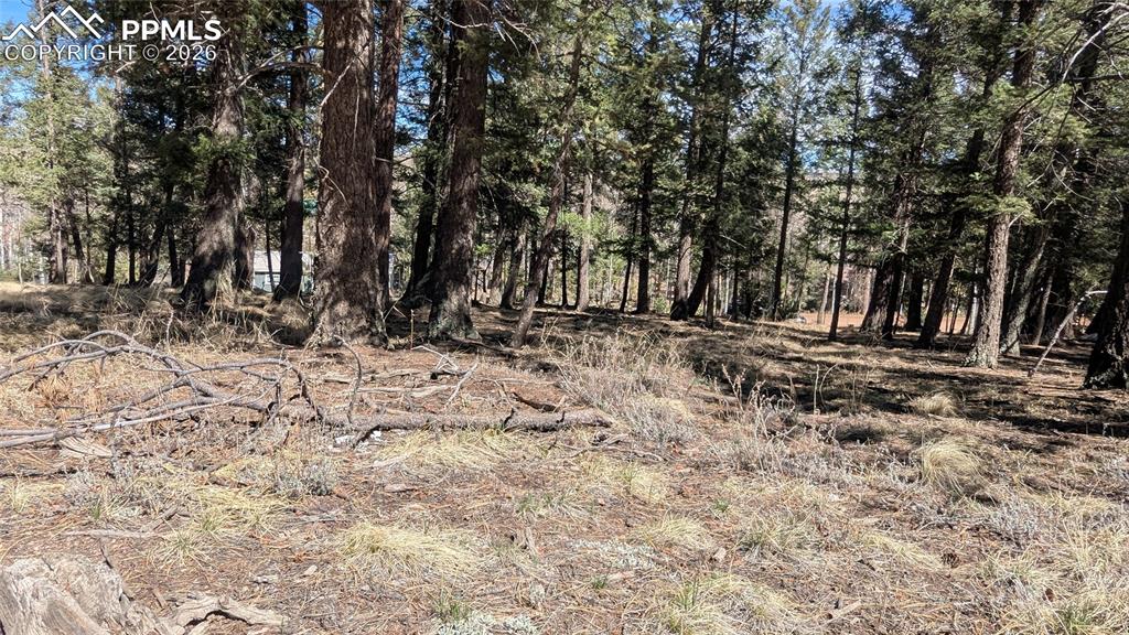 924 Will Scarlet Drive Divide CO 80814