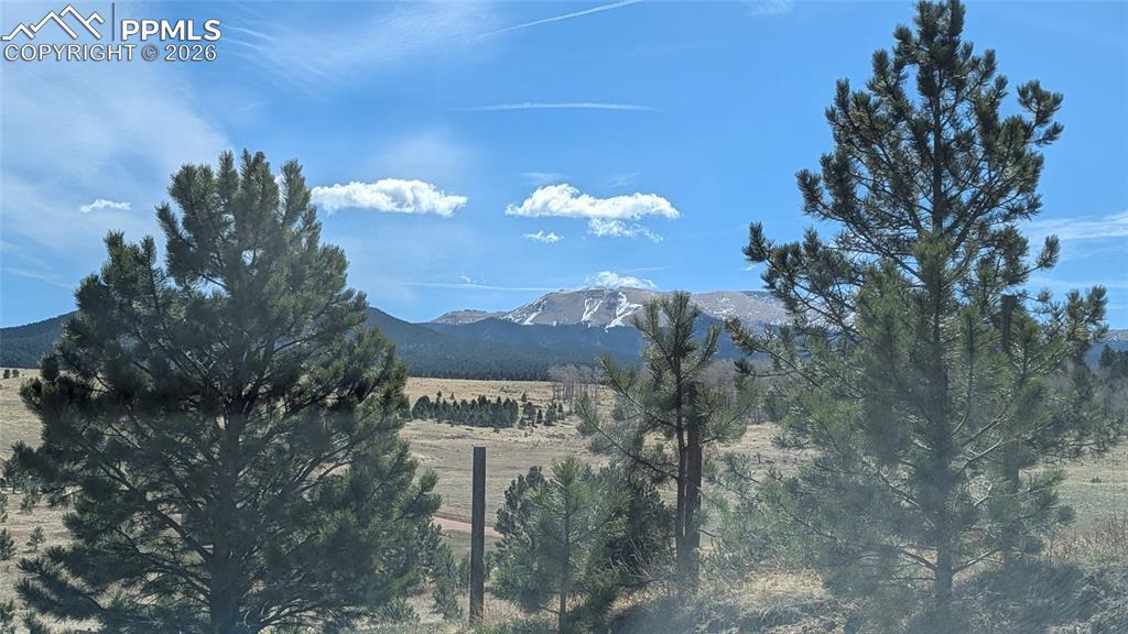 924 Will Scarlet Drive Divide CO 80814