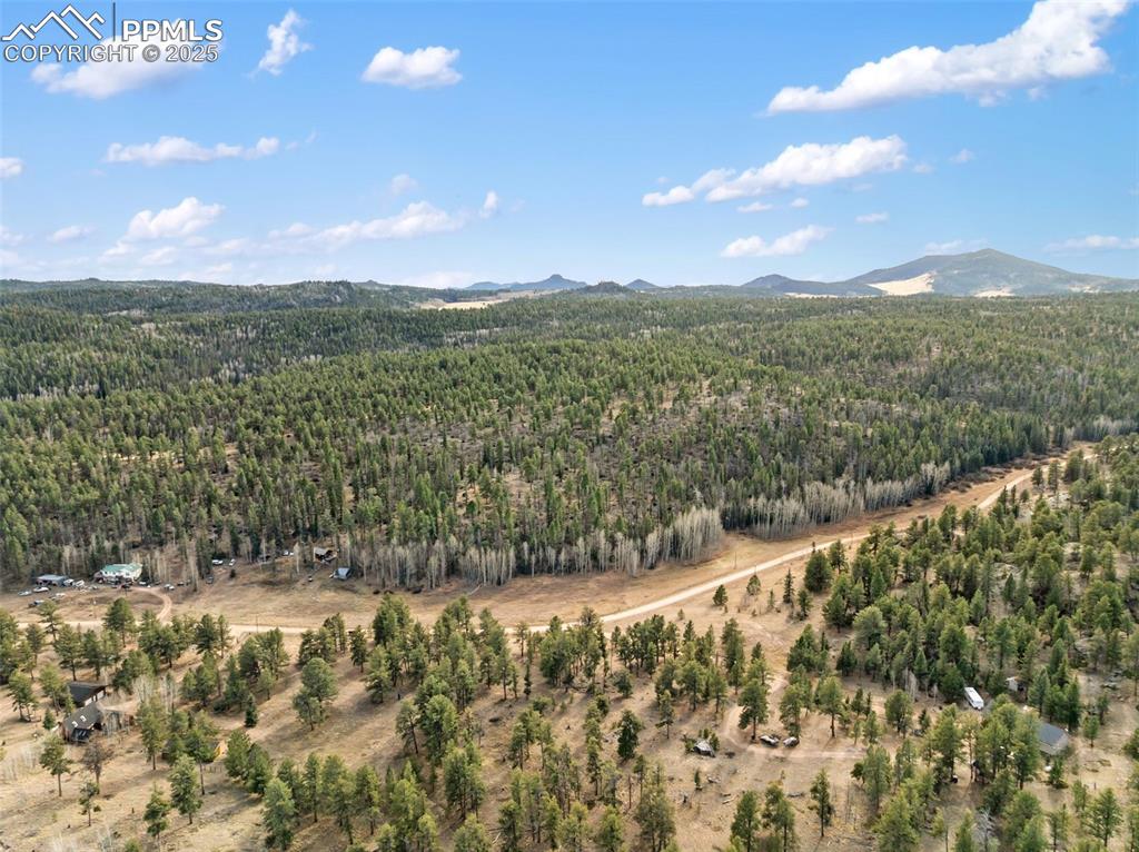 263 Valley Drive Lake George CO 80827