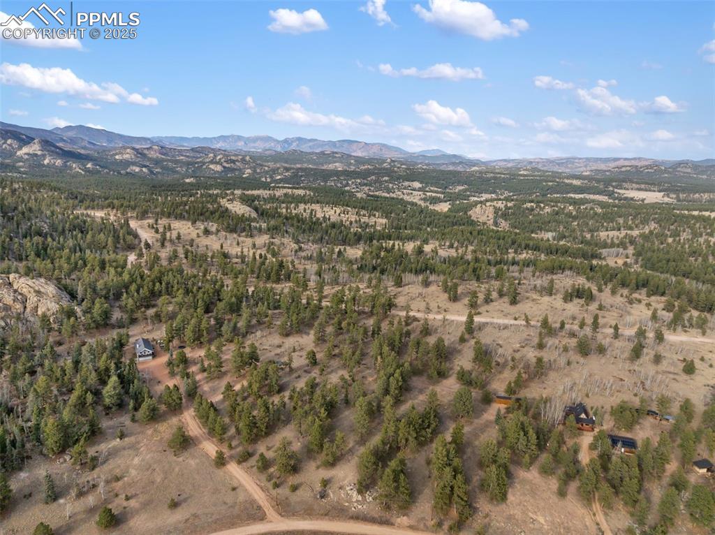 263 Valley Drive Lake George CO 80827