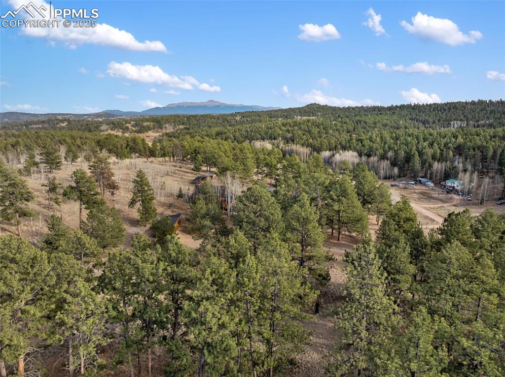 263 Valley Drive Lake George CO 80827