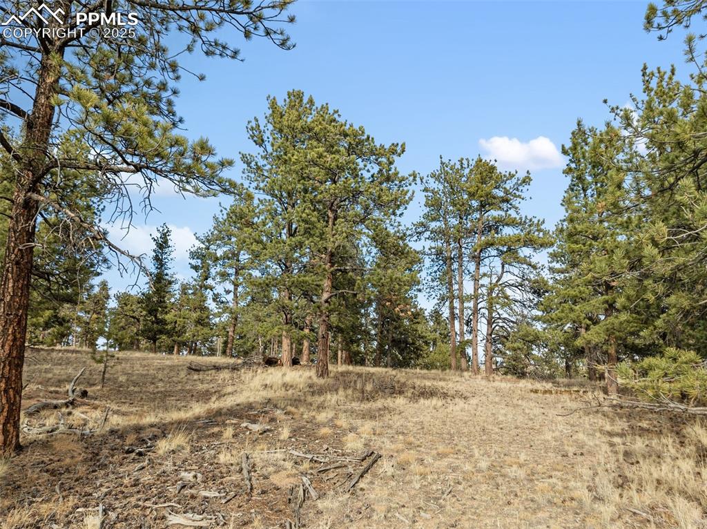 263 Valley Drive Lake George CO 80827
